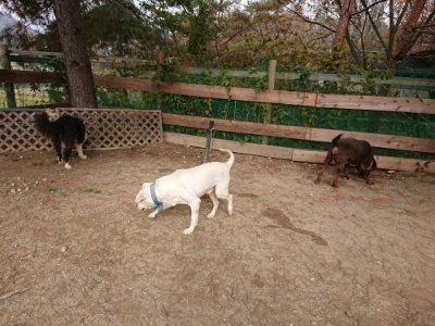 f:id:roukenhome-ann:20181129123745j:plain