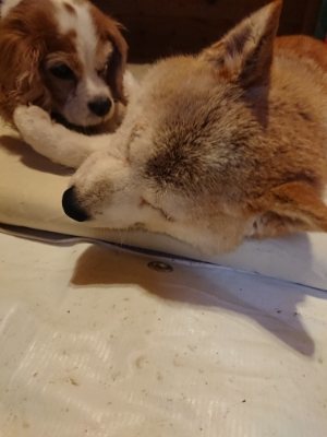 f:id:roukenhome-ann:20181129123851j:plain