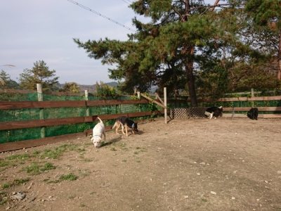 f:id:roukenhome-ann:20181129123917j:plain