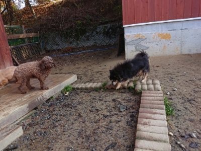 f:id:roukenhome-ann:20181129123931j:plain