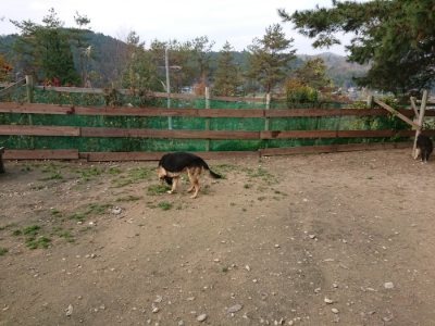 f:id:roukenhome-ann:20181129124253j:plain