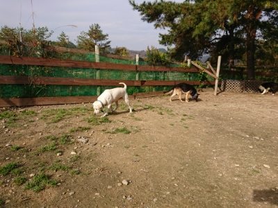 f:id:roukenhome-ann:20181129124308j:plain