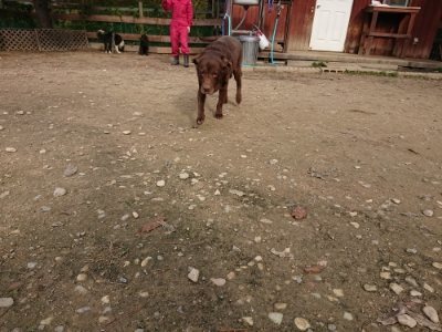 f:id:roukenhome-ann:20181129124336j:plain