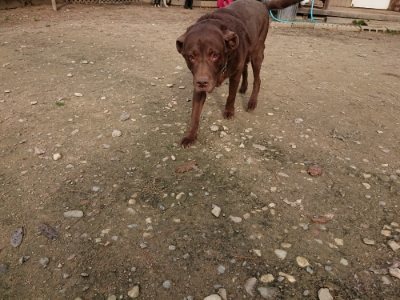 f:id:roukenhome-ann:20181129124402j:plain