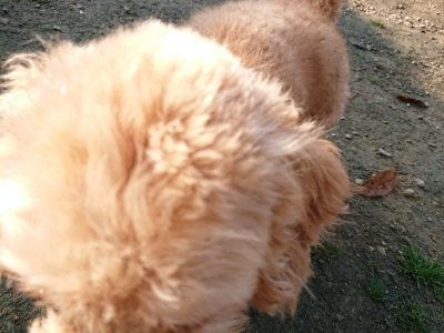 f:id:roukenhome-ann:20181129124514j:plain