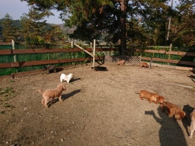 f:id:roukenhome-ann:20181129124611j:plain