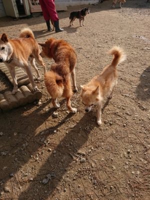 f:id:roukenhome-ann:20181129124620j:plain