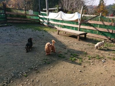 f:id:roukenhome-ann:20181129124640j:plain