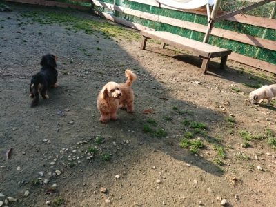 f:id:roukenhome-ann:20181129124644j:plain
