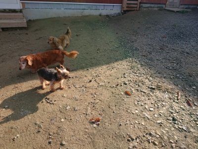f:id:roukenhome-ann:20181129124709j:plain
