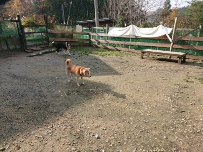 f:id:roukenhome-ann:20181129124718j:plain