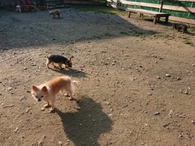 f:id:roukenhome-ann:20181129124723j:plain
