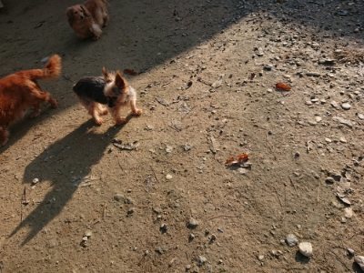 f:id:roukenhome-ann:20181129124738j:plain