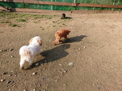 f:id:roukenhome-ann:20181129125039j:plain
