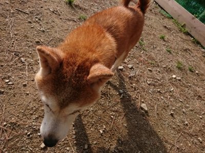 f:id:roukenhome-ann:20181129125055j:plain
