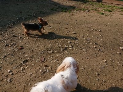 f:id:roukenhome-ann:20181129125125j:plain