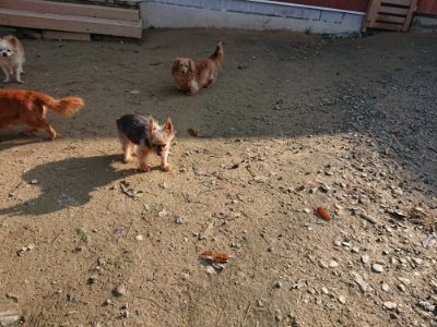 f:id:roukenhome-ann:20181129125130j:plain