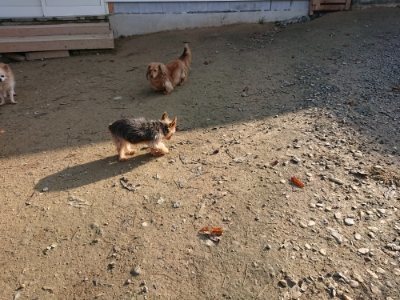 f:id:roukenhome-ann:20181129125134j:plain
