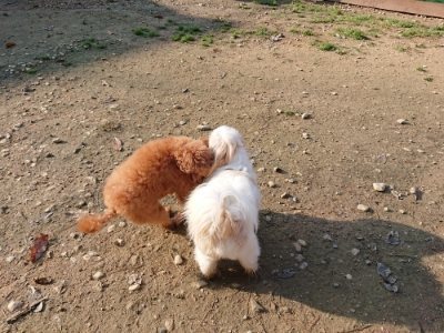 f:id:roukenhome-ann:20181129125221j:plain