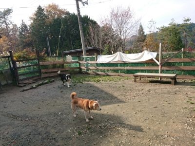 f:id:roukenhome-ann:20181129125236j:plain