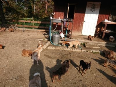 f:id:roukenhome-ann:20181129125434j:plain
