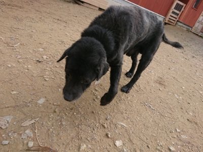 f:id:roukenhome-ann:20181129125439j:plain