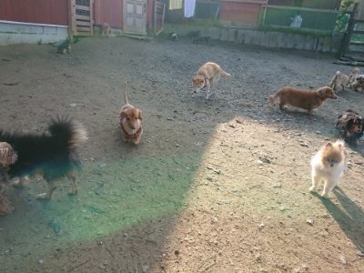 f:id:roukenhome-ann:20181129125444j:plain