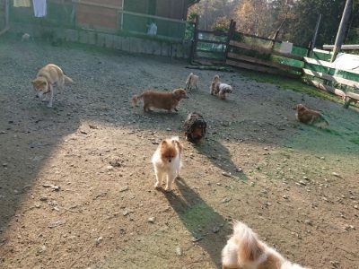 f:id:roukenhome-ann:20181129125449j:plain