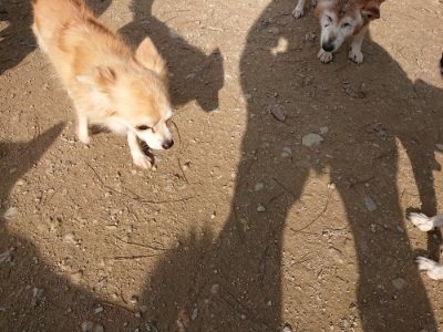 f:id:roukenhome-ann:20181129125503j:plain
