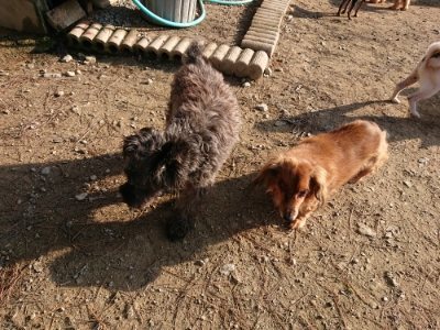 f:id:roukenhome-ann:20181129125511j:plain