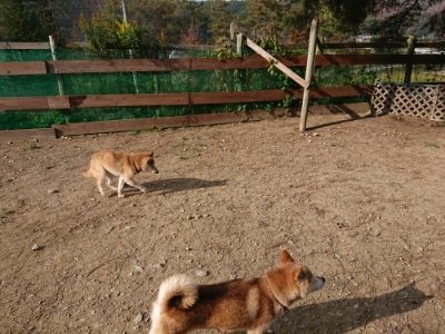 f:id:roukenhome-ann:20181129125711j:plain
