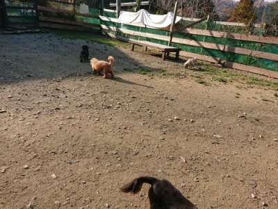 f:id:roukenhome-ann:20181129125726j:plain
