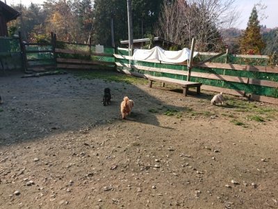 f:id:roukenhome-ann:20181129125734j:plain