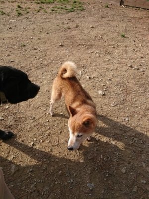 f:id:roukenhome-ann:20181129125739j:plain