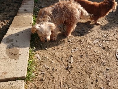 f:id:roukenhome-ann:20181129125755j:plain
