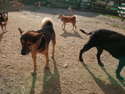 f:id:roukenhome-ann:20181129125813j:plain