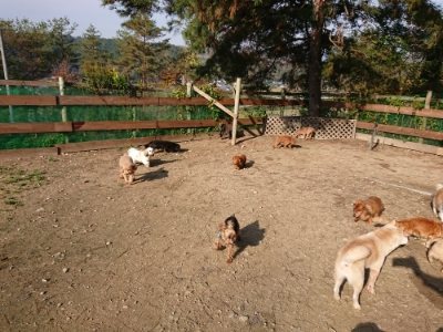 f:id:roukenhome-ann:20181129125840j:plain