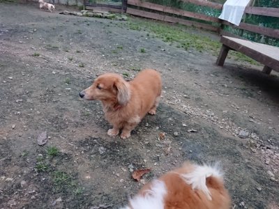 f:id:roukenhome-ann:20181130093122j:plain f:id:roukenhome-ann:20181130093122j:plain
