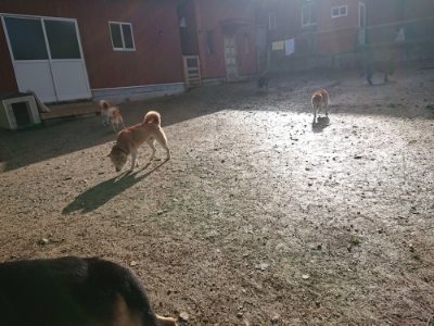 f:id:roukenhome-ann:20181130093134j:plain f:id:roukenhome-ann:20181130093134j:plain