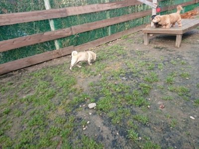 f:id:roukenhome-ann:20181130093143j:plain f:id:roukenhome-ann:20181130093143j:plain