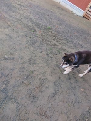 f:id:roukenhome-ann:20181130093201j:plain f:id:roukenhome-ann:20181130093201j:plain