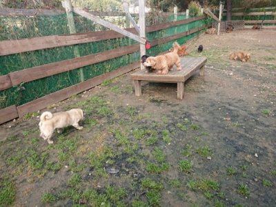 f:id:roukenhome-ann:20181130093205j:plain f:id:roukenhome-ann:20181130093205j:plain