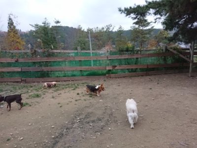 f:id:roukenhome-ann:20181130093216j:plain f:id:roukenhome-ann:20181130093216j:plain