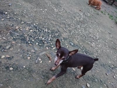 f:id:roukenhome-ann:20181130093220j:plain f:id:roukenhome-ann:20181130093220j:plain