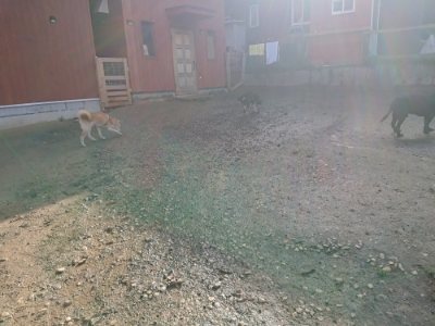 f:id:roukenhome-ann:20181130093251j:plain f:id:roukenhome-ann:20181130093251j:plain