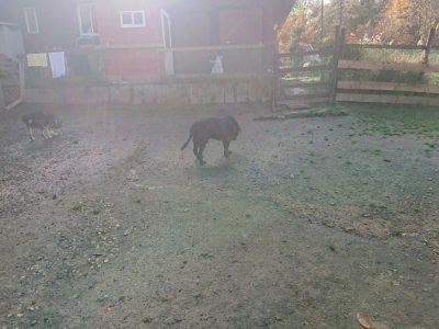 f:id:roukenhome-ann:20181130093309j:plain f:id:roukenhome-ann:20181130093309j:plain