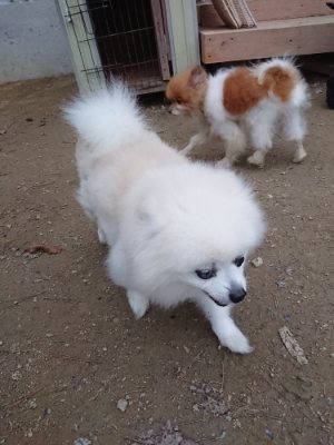 f:id:roukenhome-ann:20181130093358j:plain f:id:roukenhome-ann:20181130093358j:plain