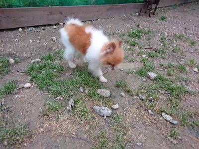 f:id:roukenhome-ann:20181130093517j:plain f:id:roukenhome-ann:20181130093517j:plain
