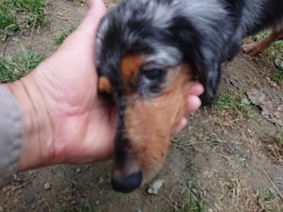 f:id:roukenhome-ann:20181130093538j:plain f:id:roukenhome-ann:20181130093538j:plain