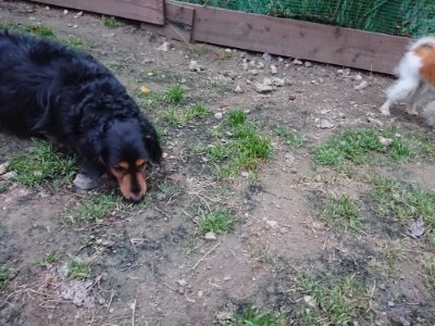 f:id:roukenhome-ann:20181130093548j:plain f:id:roukenhome-ann:20181130093548j:plain